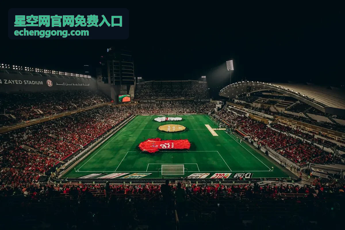 星空网官网免费入口地址核对示意