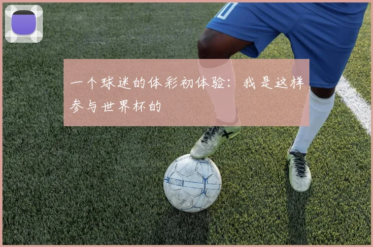 一个球迷的体彩初体验:我是这样参与世界杯的