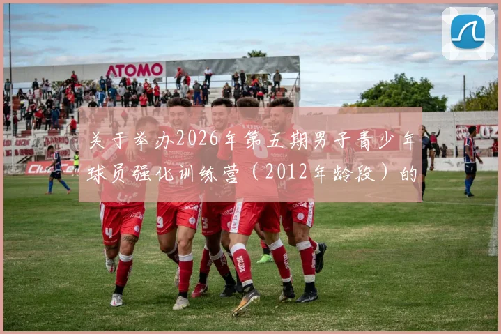 关于举办2026年第五期男子青少年球员强化训练营（2012年龄段）的通知