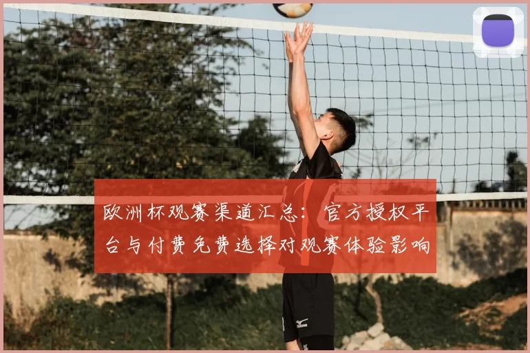 欧洲杯观赛渠道汇总：官方授权平台与付费免费选择对观赛体验影响