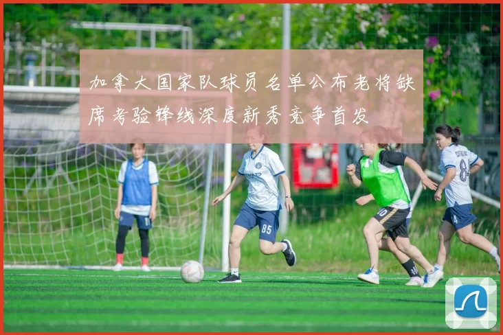 加拿大国家队球员名单公布老将缺席考验锋线深度新秀竞争首发