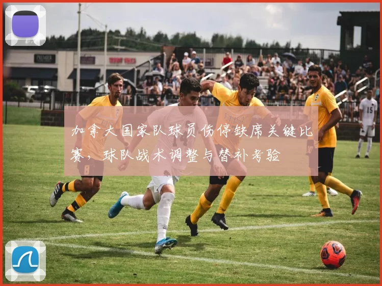 加拿大国家队球员伤停缺席关键比赛，球队战术调整与替补考验