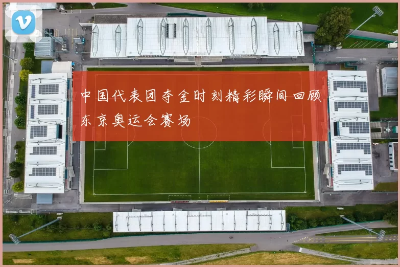 中国代表团夺金时刻精彩瞬间回顾东京奥运会赛场