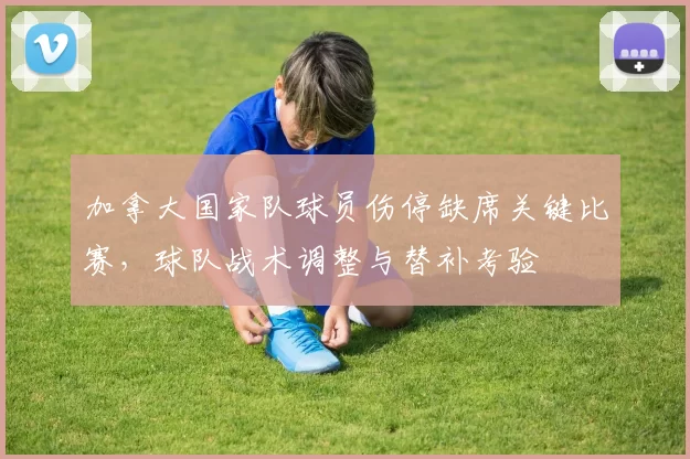 加拿大国家队球员伤停缺席关键比赛，球队战术调整与替补考验