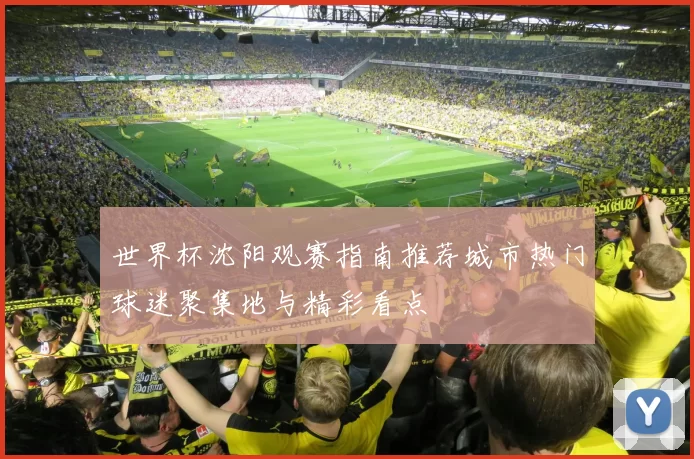 世界杯沈阳观赛指南推荐城市热门球迷聚集地与精彩看点
