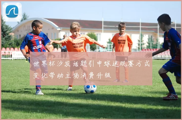 世界杯沙发话题引申球迷观赛方式变化带动主场消费升级