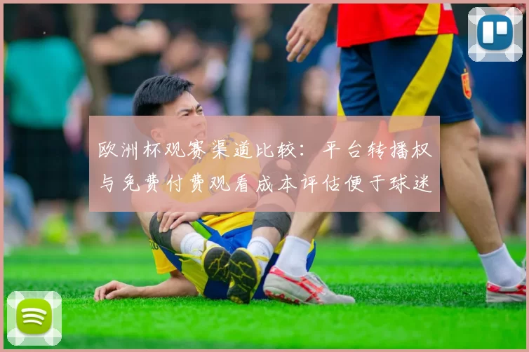 欧洲杯观赛渠道比较：平台转播权与免费付费观看成本评估便于球迷选择