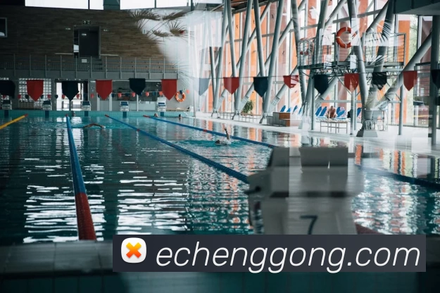 App Interface Preview